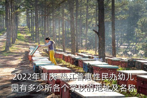 2022年重慶 墊江普惠性民辦幼兒園有多少所各個學(xué)校的地址及名稱