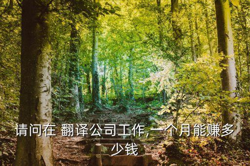 法律翻譯的收入,翻譯收入高嗎