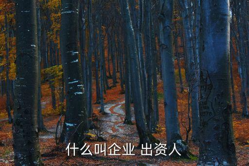 出資人