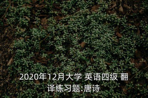 2020年12月大學(xué) 英語四級 翻譯練習(xí)題:唐詩