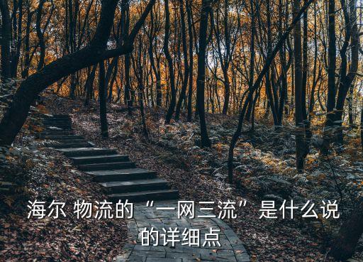  海爾 物流的“一網(wǎng)三流”是什么說的詳細(xì)點(diǎn)