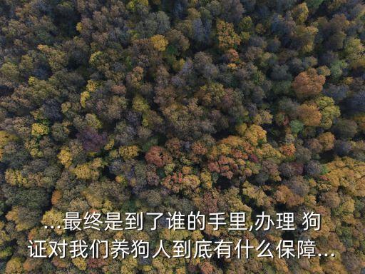 狗證有什么用,因狗引起的民事糾紛如何處理