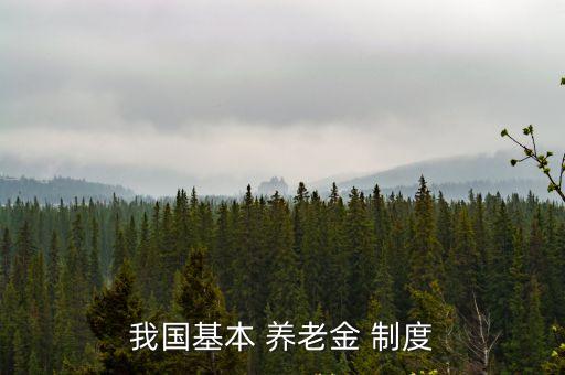 我國基本 養(yǎng)老金 制度