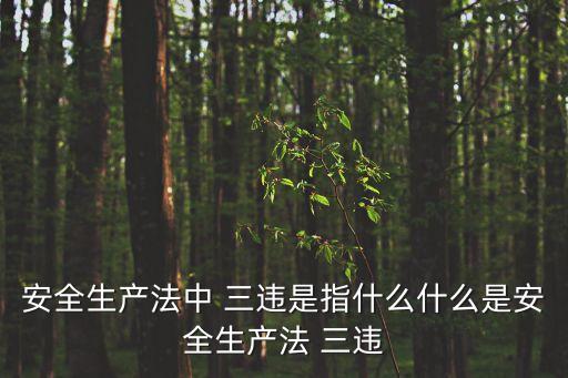 安全生產(chǎn)法中 三違是指什么什么是安全生產(chǎn)法 三違