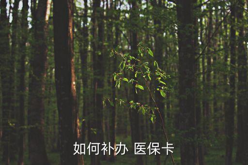 醫(yī)?？ㄑa(bǔ)卡流程,社?？▉G了在手機(jī)上能補(bǔ)辦嗎