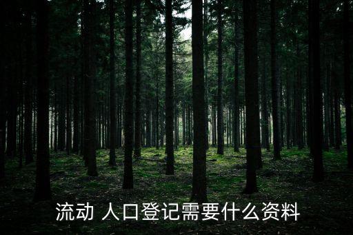  流動(dòng) 人口登記需要什么資料