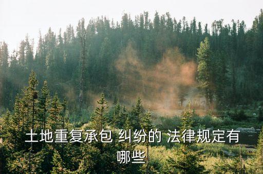  土地重復(fù)承包 糾紛的 法律規(guī)定有哪些