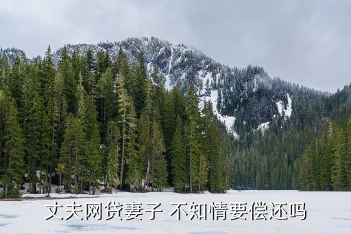 丈夫網(wǎng)貸妻子 不知情要償還嗎