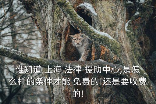 上海免費(fèi)律師法律援助,上海律師法律援助電話