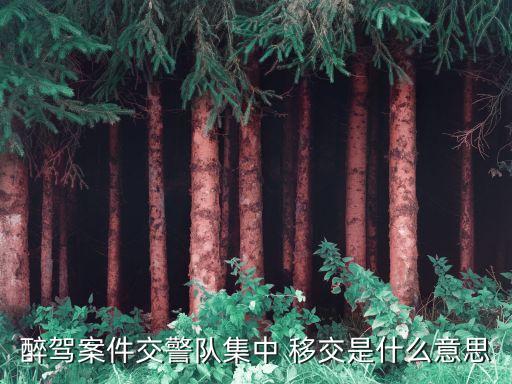 移交是什么意思,地鐵三權(quán)移交是什么意思