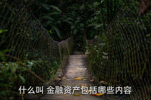 什么叫 金融資產(chǎn)包括哪些內(nèi)容
