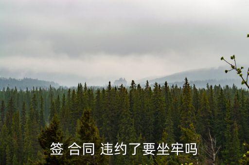 簽 合同 違約了要坐牢嗎