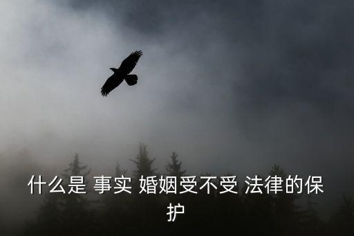 什么是 事實 婚姻受不受 法律的保護