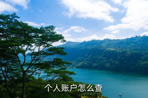 個(gè)人查詢