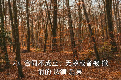 23. 合同不成立、無效或者被 撤銷的 法律 后果