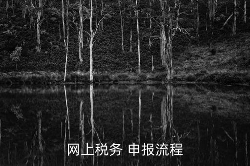 申報(bào)成功