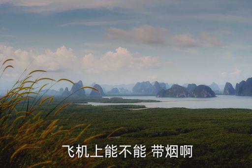  飛機上能不能 帶煙啊