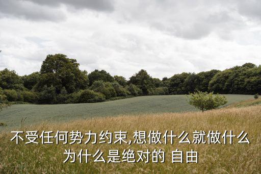 不受任何勢力約束,想做什么就做什么為什么是絕對的 自由