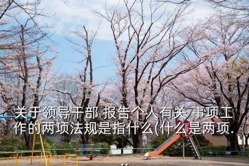 個(gè)人有關(guān)事項(xiàng)報(bào)告