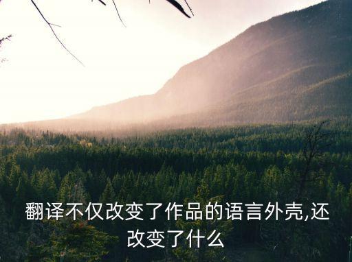  翻譯不僅改變了作品的語(yǔ)言外殼,還改變了什么