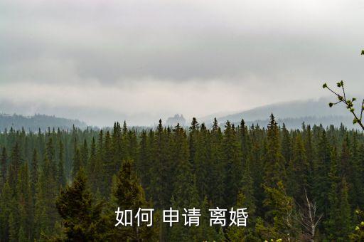 離婚申請
