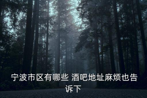 寧波a8酒吧,寧波A8酒吧老板