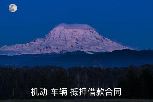 機(jī)動 車輛 抵押借款合同