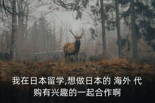 海外代購(gòu)怎么做