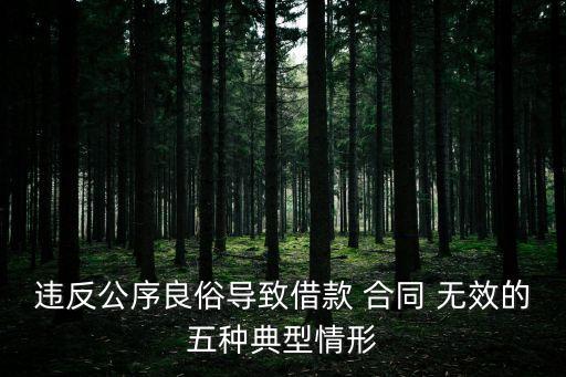 違反公序良俗導(dǎo)致借款 合同 無效的五種典型情形