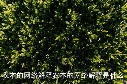 農(nóng)本的網(wǎng)絡(luò)解釋農(nóng)本的網(wǎng)絡(luò)解釋是什么