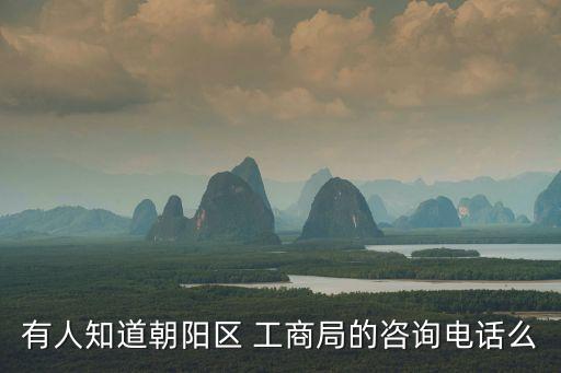 有人知道朝陽區(qū) 工商局的咨詢電話么