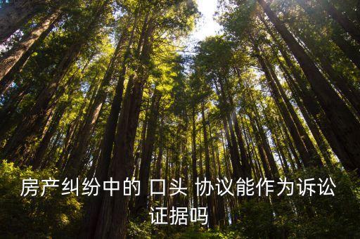 房產(chǎn)糾紛中的 口頭 協(xié)議能作為訴訟證據(jù)嗎