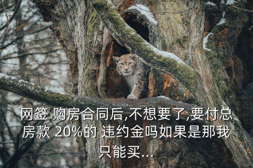 買方違約解除購房合同違約20%,買方無購房資格簽購房合同違約嗎