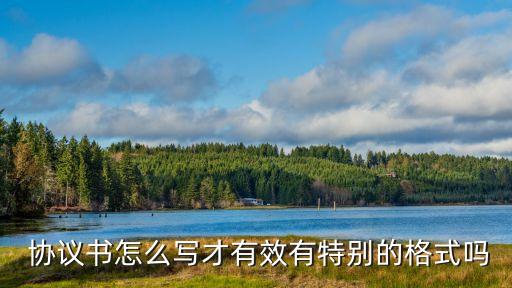  協(xié)議書(shū)怎么寫(xiě)才有效有特別的格式嗎