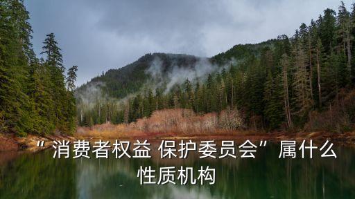 消費(fèi)者保護(hù)協(xié)會(huì),如何投訴消費(fèi)者保護(hù)協(xié)會(huì)