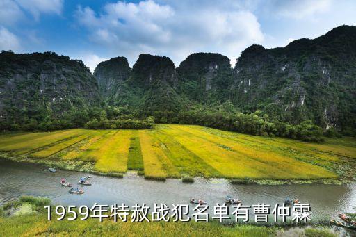 唐曦,俄羅斯詩人唐曦蘭