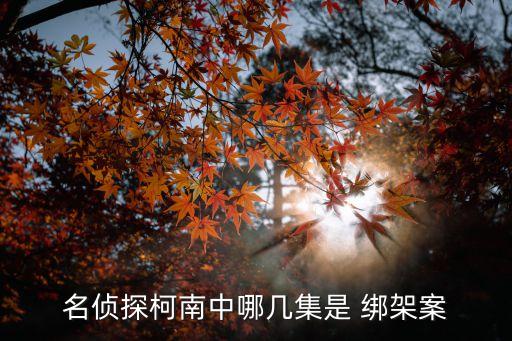 綁架事件,王國之淚塞爾達公主綁架事件