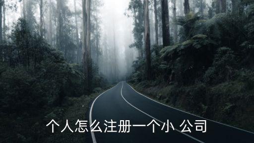 個(gè)人怎么注冊(cè)一個(gè)小 公司