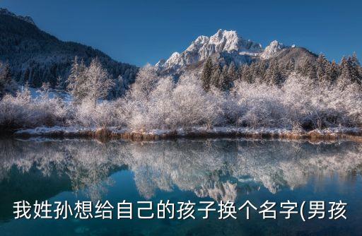 孫壯志