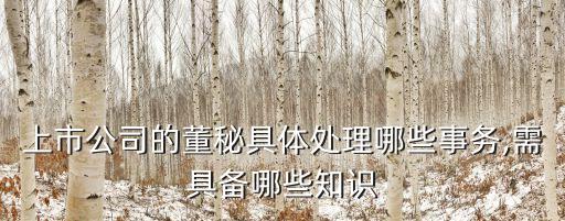 上市公司的董秘具體處理哪些事務(wù),需具備哪些知識(shí)