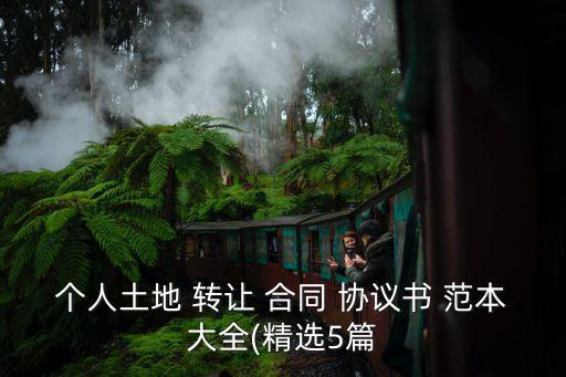 個(gè)人土地 轉(zhuǎn)讓 合同 協(xié)議書 范本大全(精選5篇