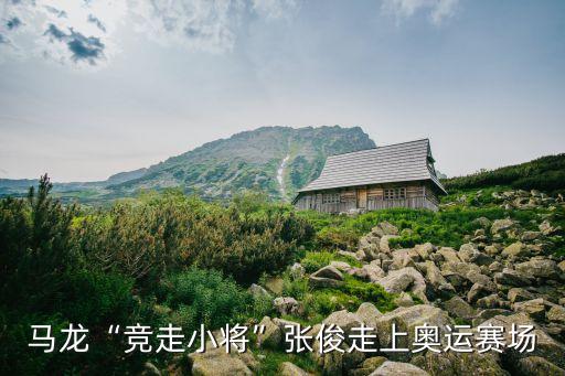 陳云龍