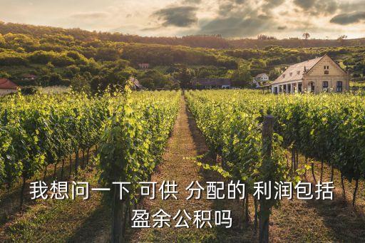 我想問一下 可供 分配的 利潤包括盈余公積嗎