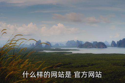 什么樣的網(wǎng)站是 官方網(wǎng)站