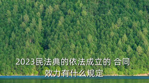 2023民法典的依法成立的 合同 效力有什么規(guī)定