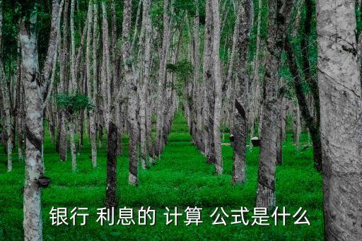 銀行 利息的 計算 公式是什么