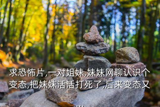 求恐怖片,一對(duì)姐妹,妹妹網(wǎng)聊認(rèn)識(shí)個(gè)變態(tài),把妹妹活活打死了,后來變態(tài)又...