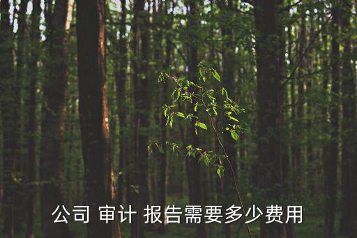 公司 審計(jì) 報(bào)告需要多少費(fèi)用