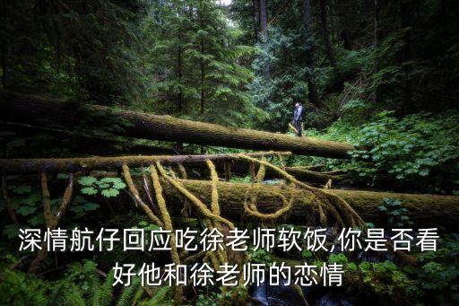 楊航