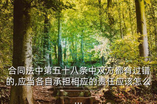  合同法中第五十八條中雙方都有過錯的,應(yīng)當(dāng)各自承擔(dān)相應(yīng)的責(zé)任應(yīng)該怎么...